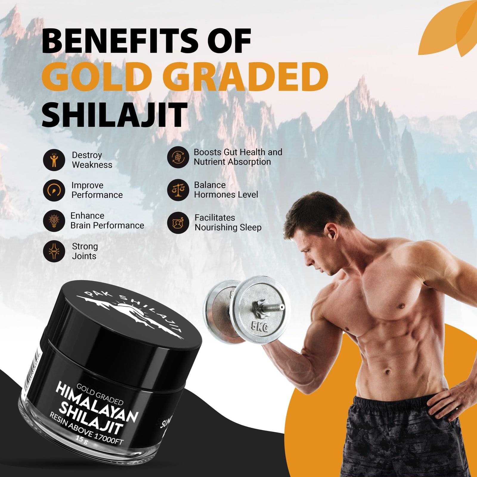 Sundried Organic Himalayan Shilajit Resin - Image 2
